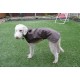  Bedlington terrier dog Coat