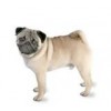 Pug  Printed Double Fleece dog coat